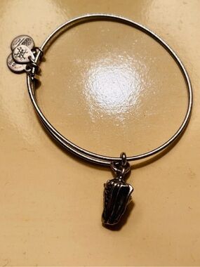 Gently used, ALEX AND ANI Silver ‘Conch Shell’ Charm Bracelet 🐚 🌊🩶